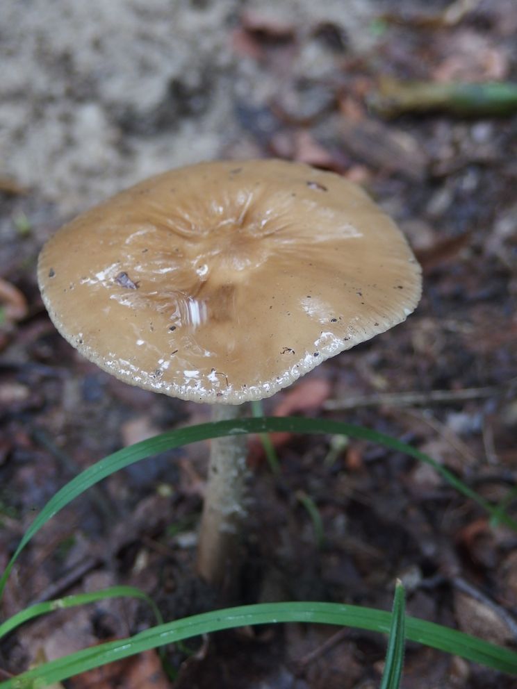 P8060505