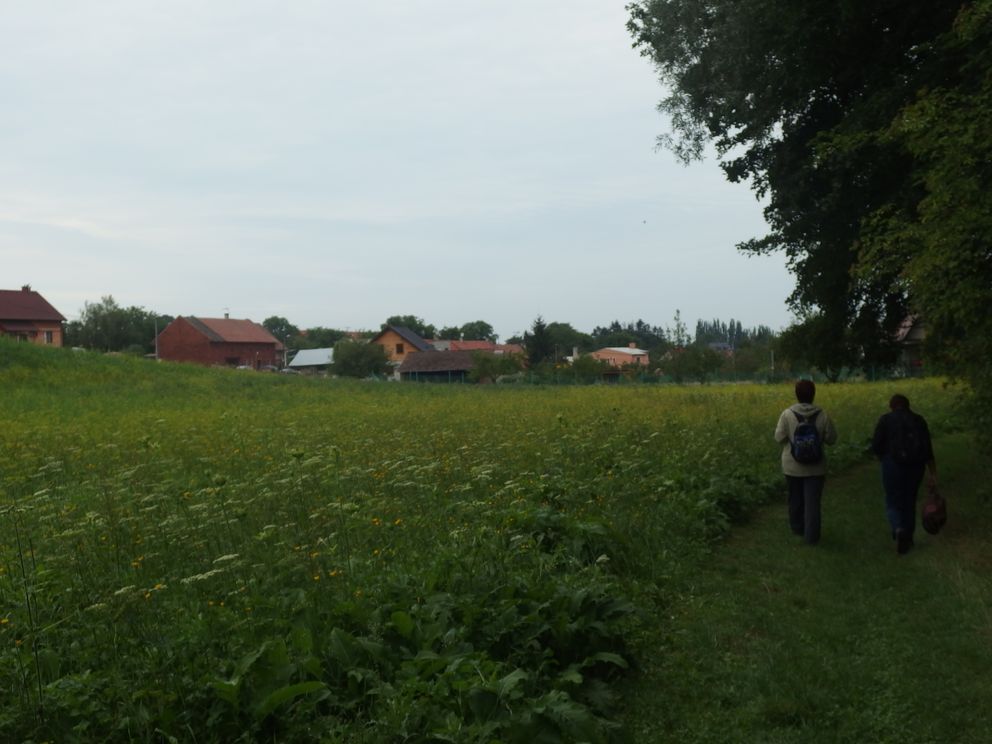 P8060601