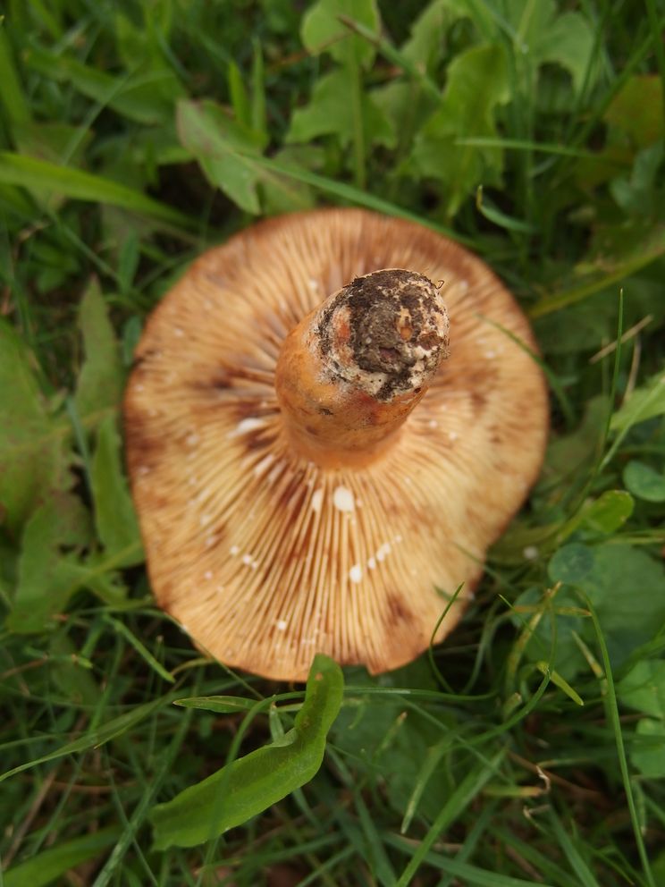 P8060609