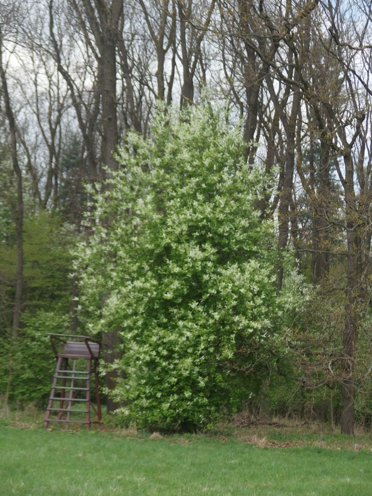 P4140091